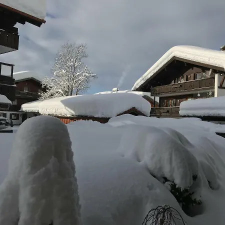 Apartment Appartement-unterbergblick Reit im Winkl